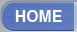 Home Button